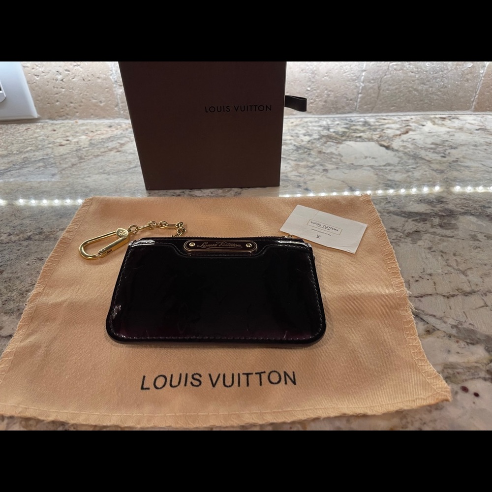 LOUIS VUITTON zip pouch